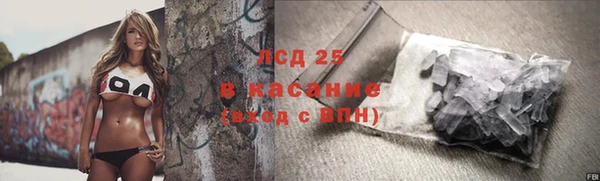 сатива Алзамай