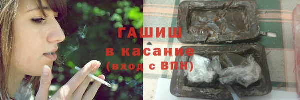 сатива Алзамай