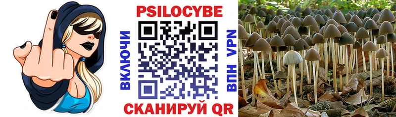 как найти закладки  mega как войти  Галлюциногенные грибы GOLDEN TEACHER  Слободской 